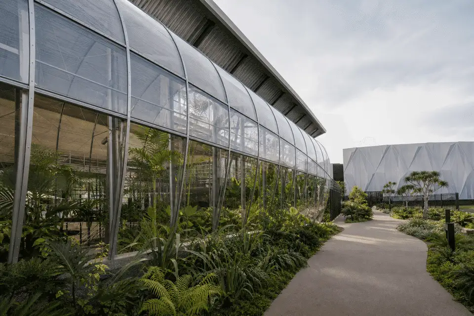 ETFE Greenhouse for Indoor Sports Arena ETFE Roofing