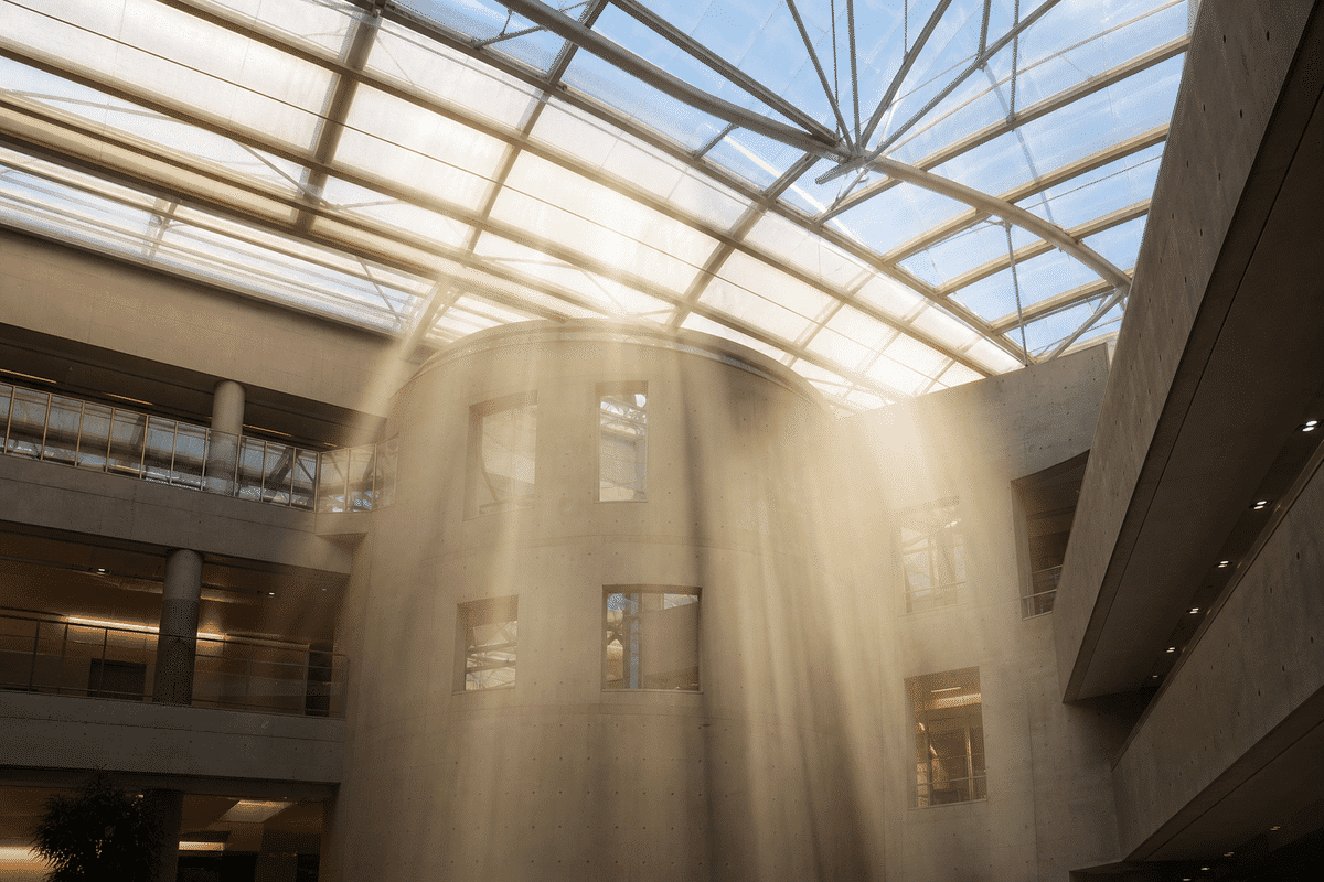 Translucent ETFE ceiling plane washing interiors with daylight