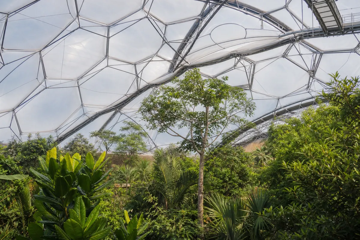 Commercial greenhouse daylit through ETFE film