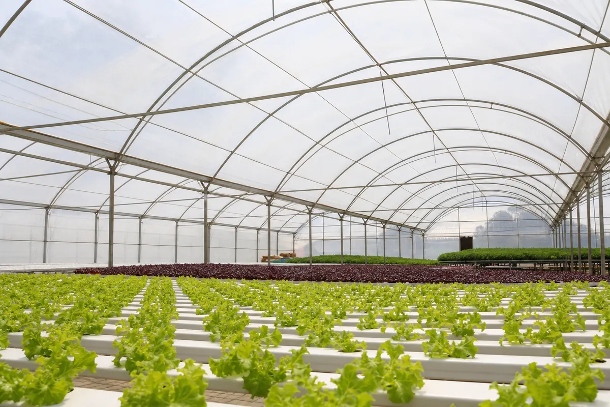 Advanced ETFE greenhouse film system with high light-transmission cladding