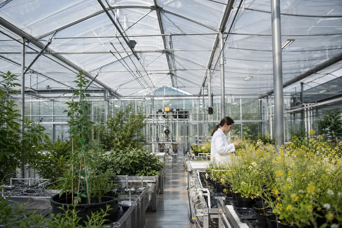 Precision welding and fabrication of ETFE greenhouse film panels
