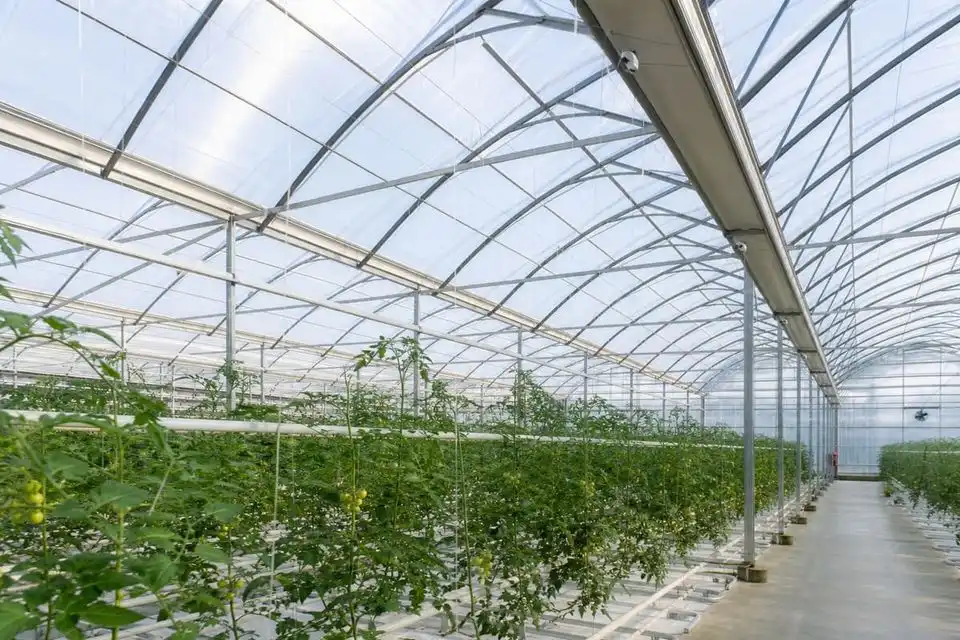 ETFE Greenhouse — Greenhouse ETFE — Greenhouse ETFE