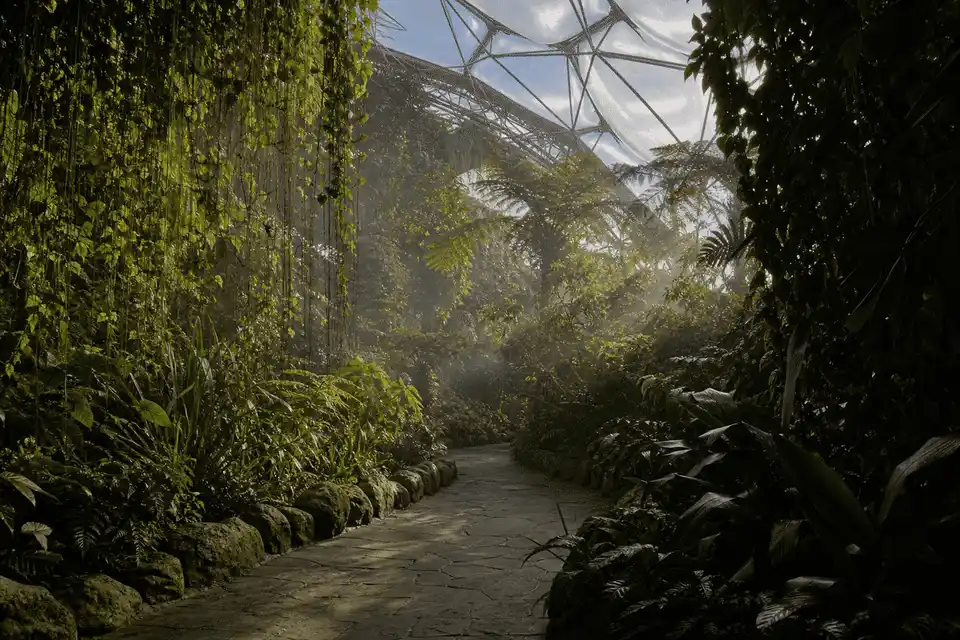 Botanical Garden ETFE Project gallery 1 — ETFE project visual