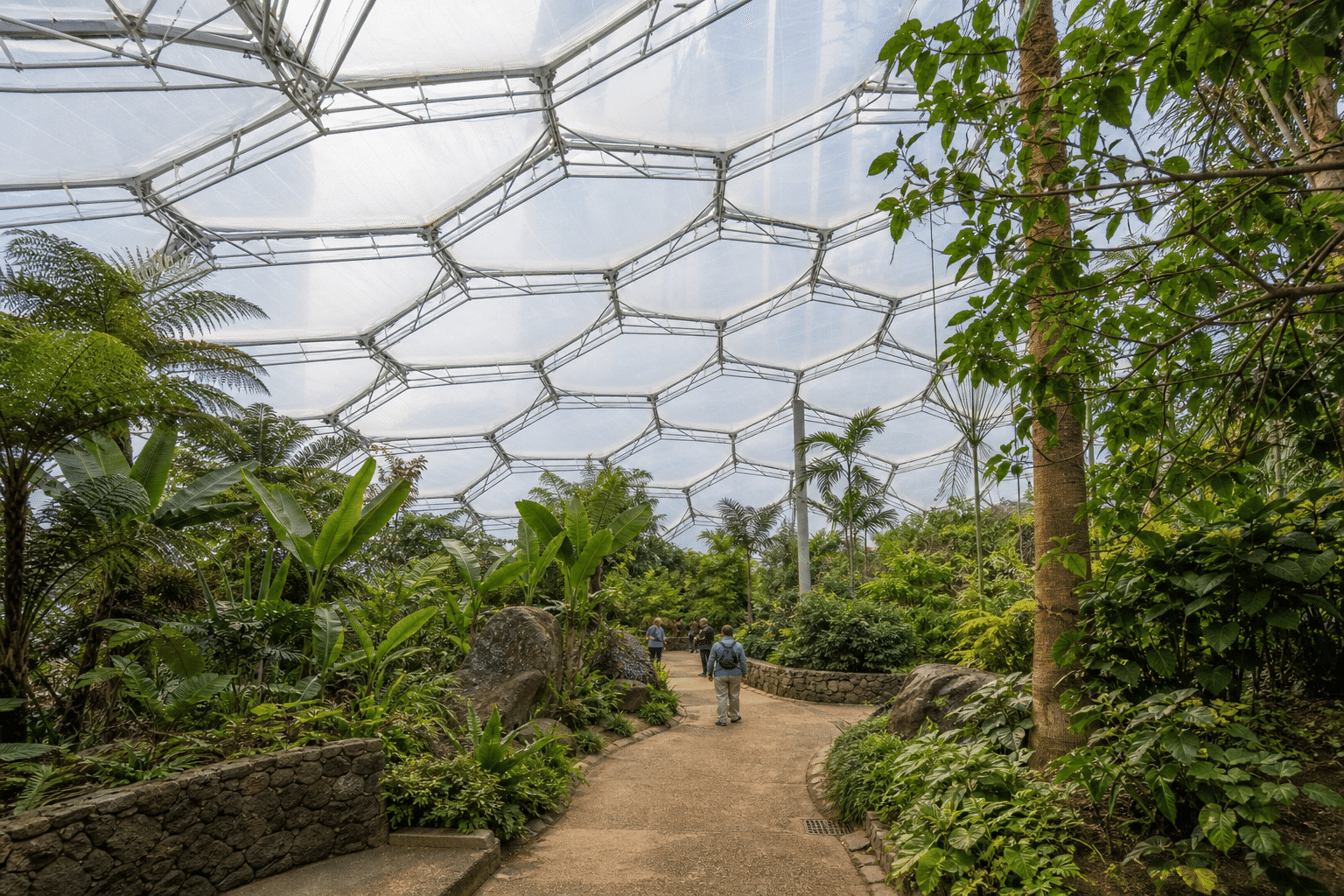 Botanical Garden ETFE Project