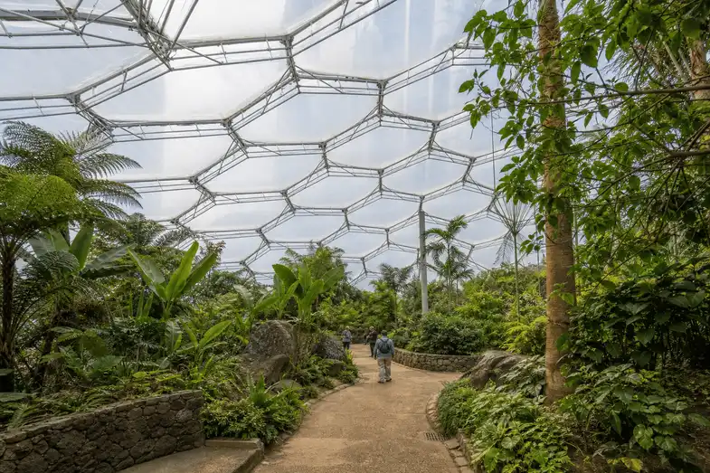 Botanical Garden ETFE Project — translucent ETFE envelope, illustrative case study