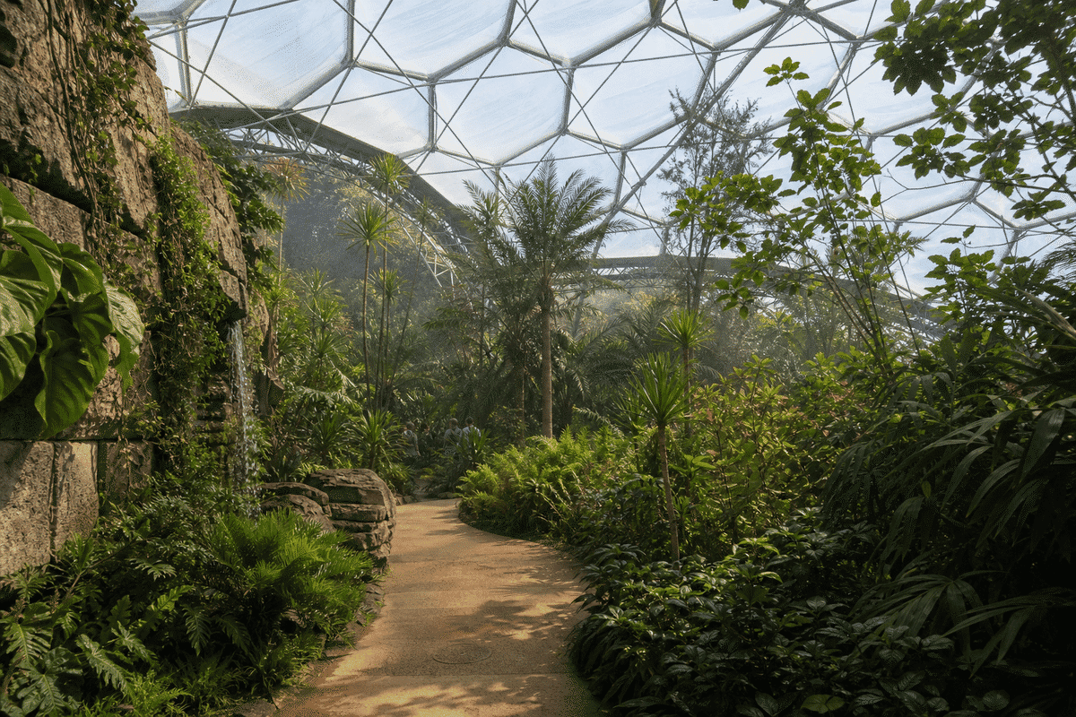 Botanical Garden ETFE Project video poster 1