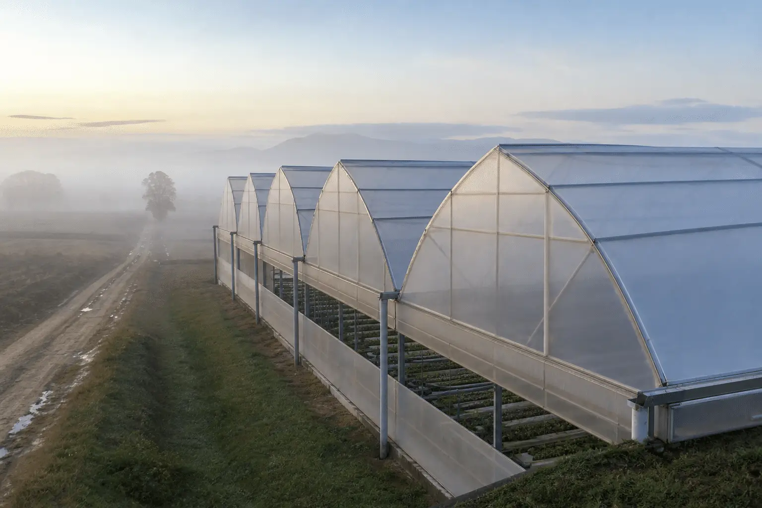 Greenhouse ETFE Project — translucent ETFE envelope, illustrative case study