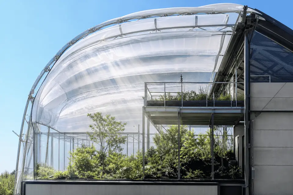 etfe light transmission overview — ETFE Light Transmission