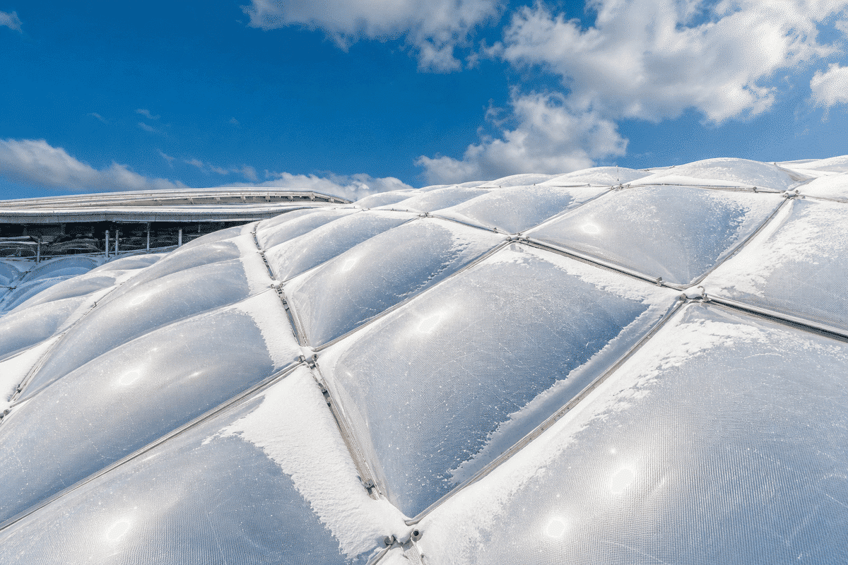 etfe snow load performance overview