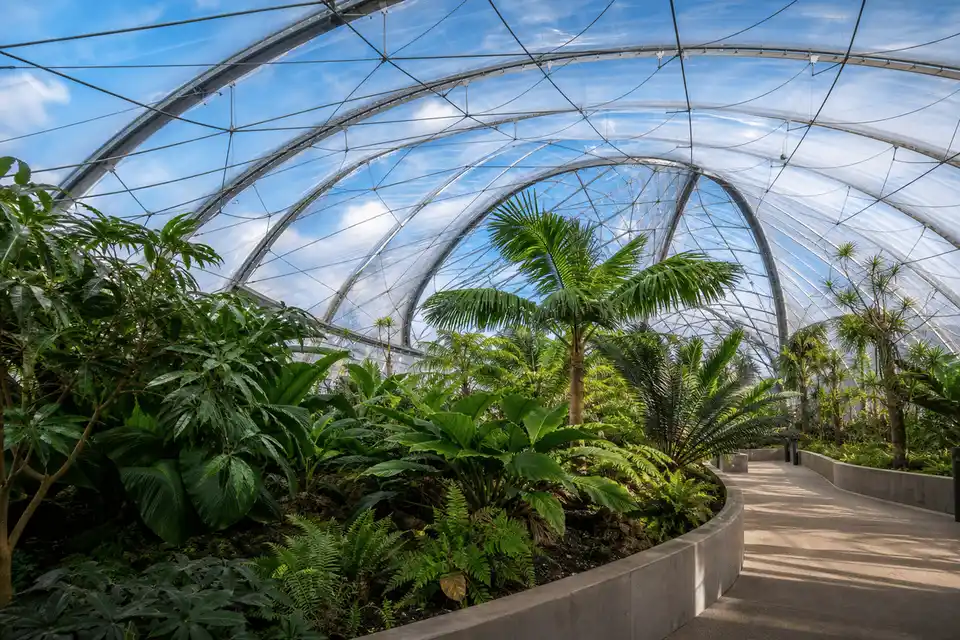 etfe sustainability benefits gallery 03 — ETFE Sustainability Benefits