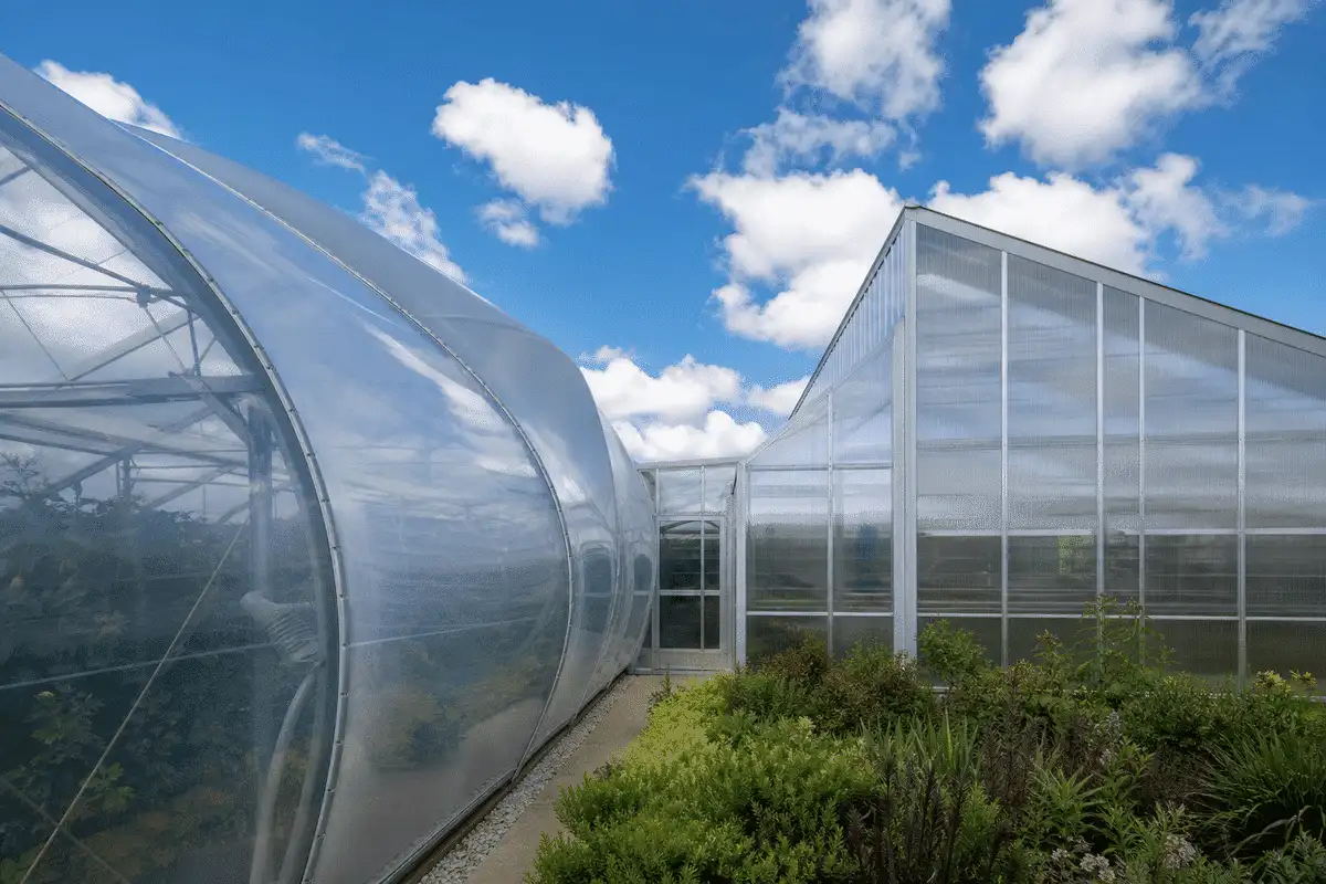 Transit canopy with ETFE and polycarbonate roof sections — ETFE technical guide — ETFE technical guide