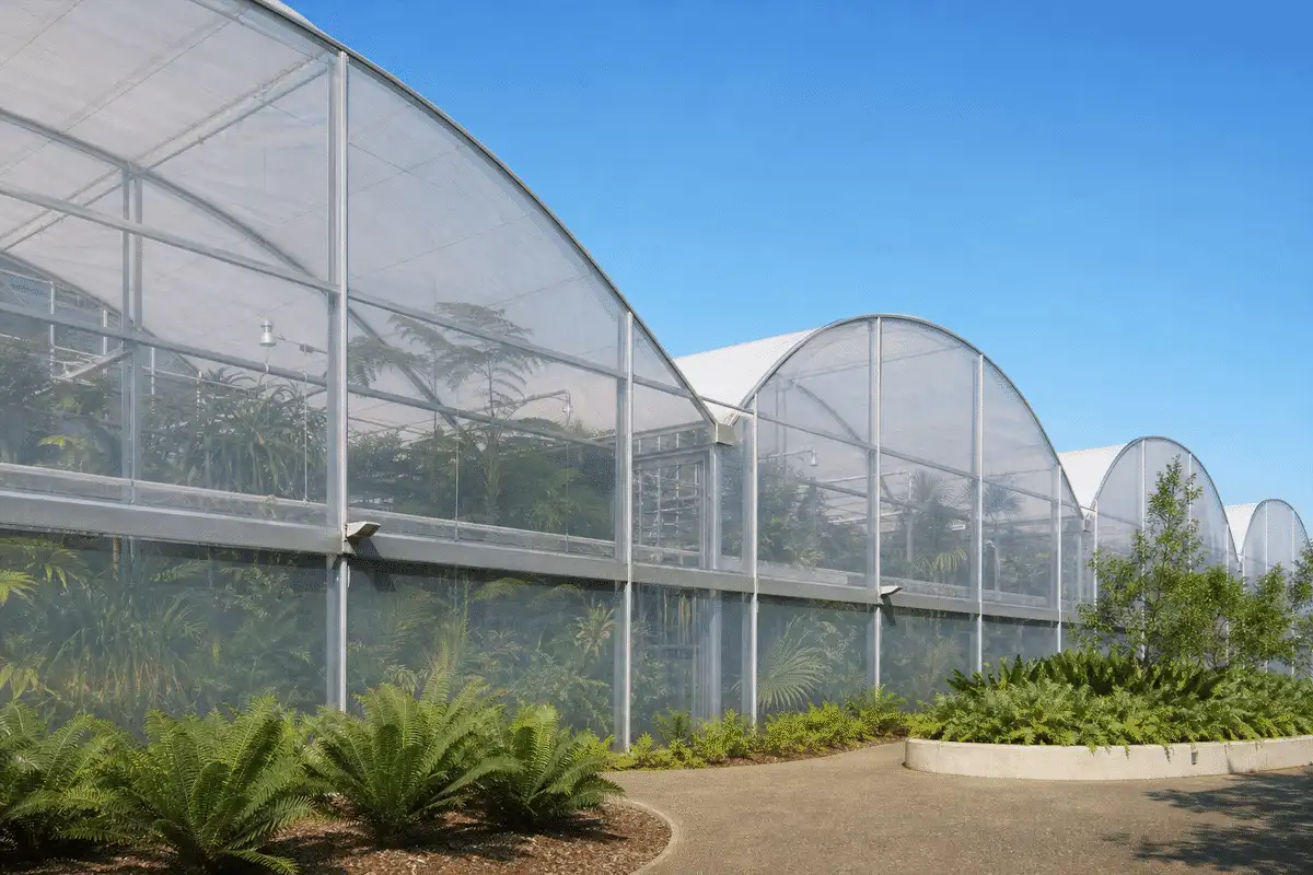 Greenhouse ETFE envelope with plants under blue sky — What Is ETFE